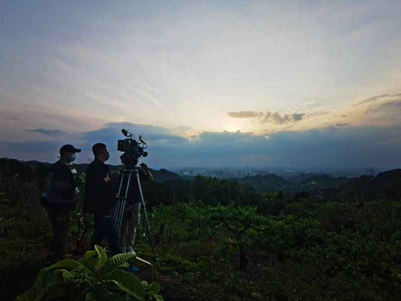 聚焦通河县产品宣传视频拍摄公司，用专业实力铸就品牌传播传奇