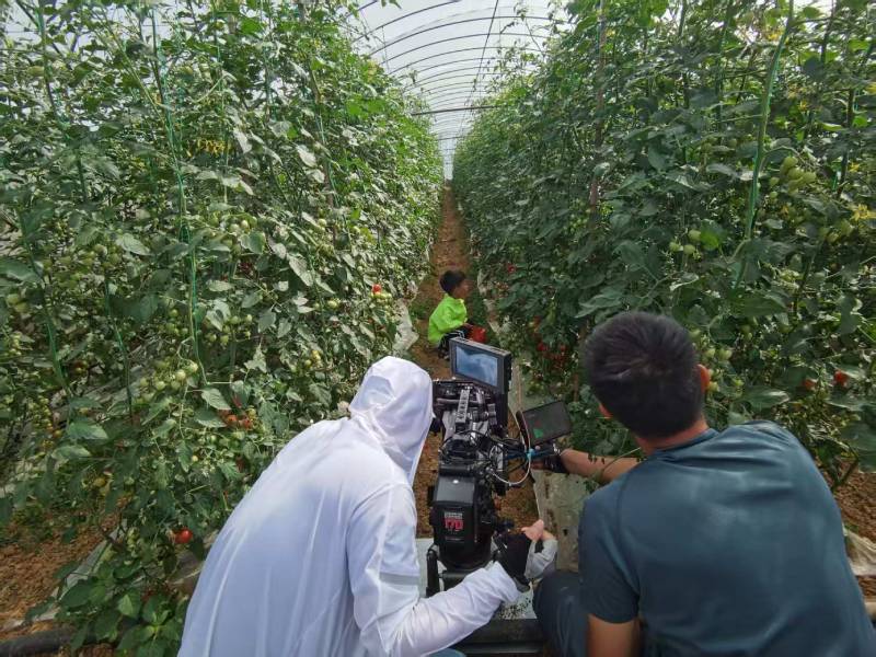 通河县产品宣传视频拍摄公司进阶指南，助力品牌抢占传播高地